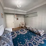 Проживание в семье Transit 77